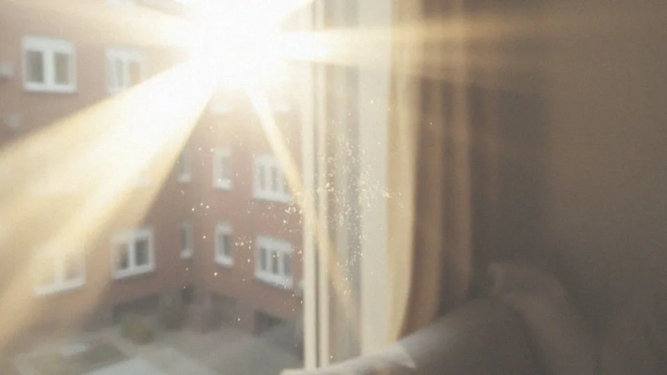 Jakie są skutki zaniedbania czystości w domu dla alergików?