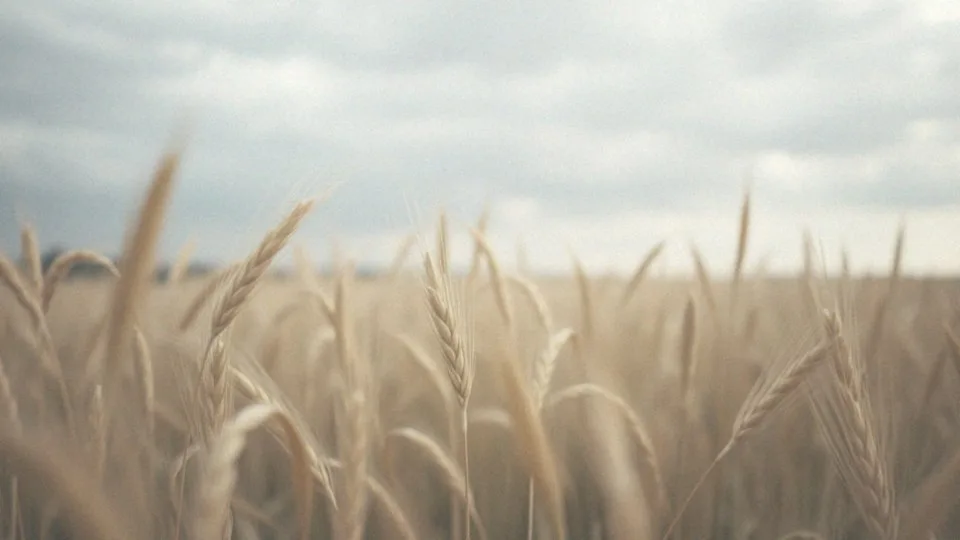 Sarkoidoza płuc czy to rak? Różnice i diagnostyka schorzeń